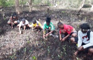 ENVORINMENT NEWS-Empowering Kilifi Starlets in uniting for Climate Resilience through Mangrove Reforestation;