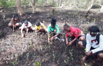 ENVORINMENT NEWS-Empowering Kilifi Starlets in uniting for Climate Resilience through Mangrove Reforestation;