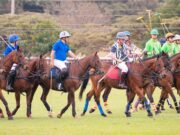 SPORTS NEWS-Nairobi Polo Casino cup 6-goal tournament gallops into action;