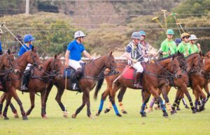 SPORTS NEWS-Nairobi Polo Casino cup 6-goal tournament gallops into action;