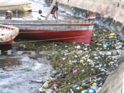 ENVIRONMENT NEWS-UN to recognize seven World Restoration Flagships from Africa, Latin America, the Middle East and Southeast Asia;
