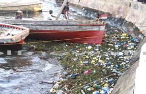 ENVIRONMENT NEWS-UN to recognize seven World Restoration Flagships from Africa, Latin America, the Middle East and Southeast Asia;