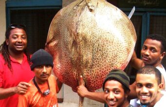 ENVIRONMENTAL NEWS-Landmark UN report reveals shocking state of wildlife as the World’s migratory Species of animals are in decline and the global extinction risk is increasing;