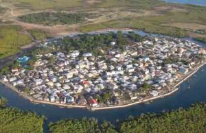 ENVIRONMENT NEWS-How Patience pays off for Octopus Fisherwomen in Kenya’s Lamu County;
