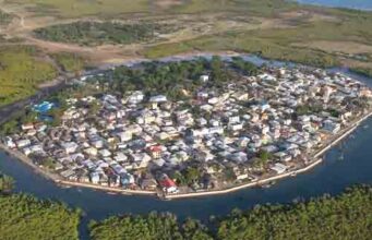 ENVIRONMENT NEWS-How Patience pays off for Octopus Fisherwomen in Kenya’s Lamu County;