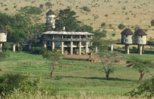 BUSINESS NEWS-Kenya’s Salt Lick safari Lodge in Pictorial;
