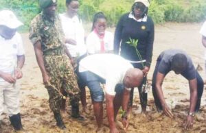 ENVIRONMENT NEWS-KPA affirms commitment to combat climate change through tree planting exercise;