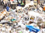 ENVIRONMENT NEWS-Road to Busan clear as negotiations on a global plastics treaty close in Ottawa;