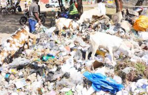 ENVIRONMENT NEWS-Road to Busan clear as negotiations on a global plastics treaty close in Ottawa;