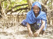 ENVIRONMENT NEWS-UN recognizes World Restoration Flagships in East Africa, Mexico, and Spain.