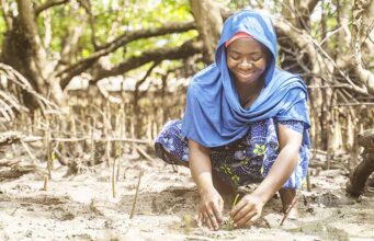 ENVIRONMENT NEWS-UN recognizes World Restoration Flagships in East Africa, Mexico, and Spain.