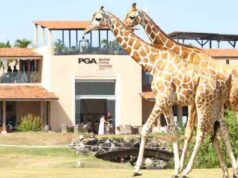 GOLF NEWS-Vipingo Ridge named Africa’s Best Golf Real Estate Venue 2025at the 12th World Golf Awards.