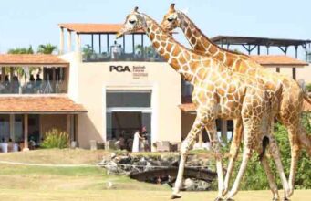 GOLF NEWS-Vipingo Ridge named Africa’s Best Golf Real Estate Venue 2025at the 12th World Golf Awards.