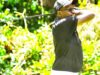 GOLF NEWS-Migaa Golf Club Set to Host 10th Leg NCBA Golf Series in Kiambu County.