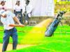 GOLF NEWS-Magical Kenya Open (MKO) Slot Up for Grabs as NCBA Kenya Amateur Stroke Play Championship Tees Off at Royal, Nairobi.